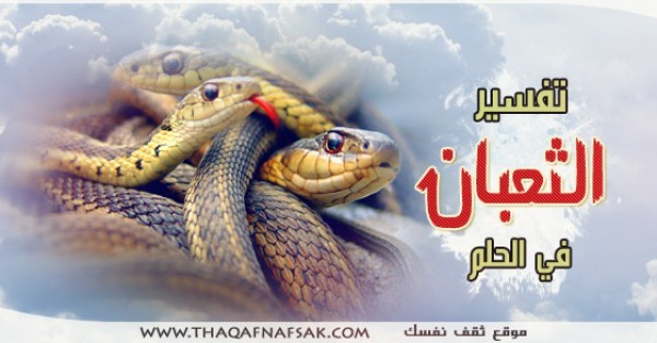 ماهو تفسير الثعبان في الحلم ماهو تفسير الثعبان في الحلم