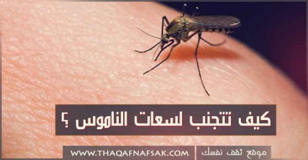 كيف تحمي نفسك من لسعة البعوض كيف تحمي نفسك من لسعة البعوض