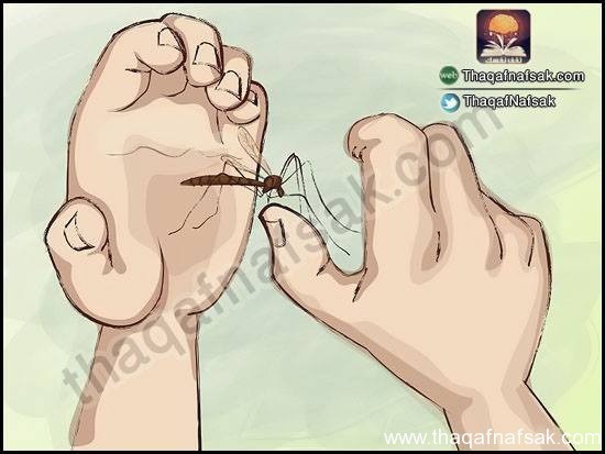 كيف تحمي نفسك من لسعة البعوض كيف تحمي نفسك من لسعة البعوض