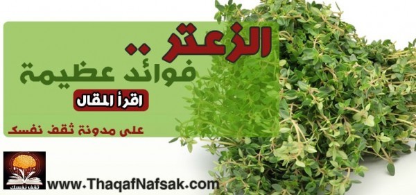 فوائد الزعتر ، أكثر من 20 فائدة أكتشفها معنا فوائد الزعتر ، أكثر من 20 فائدة أكتشفها معنا
