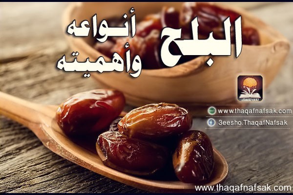 البلح أنواعه وأهميته البلح أنواعه وأهميته