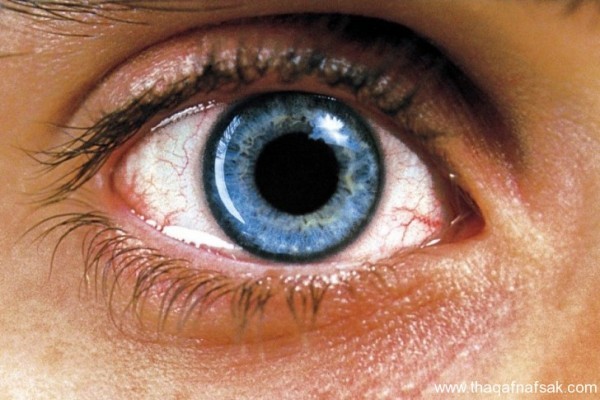 بالصور أسرار لا تعرفها كيف يتم فحص العين ؟ وكيف تفحص عينك بنفسك