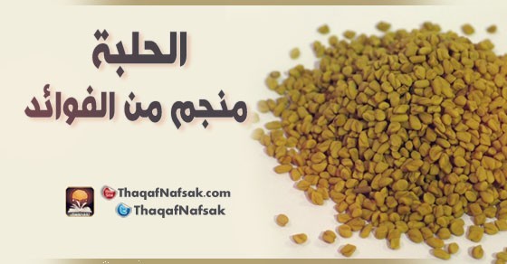 الحلبة منجم من الفوائد الحلبة منجم من الفوائد