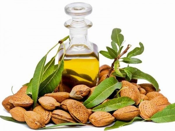 فوائد زيت اللوز للشعر والبشرة فوائد زيت اللوز للشعر والبشرة