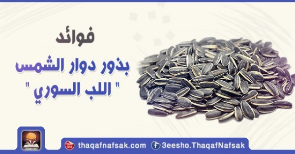 فوائد بذور دوار الشمس ” اللب السوري” فوائد بذور دوار الشمس ” اللب السوري”