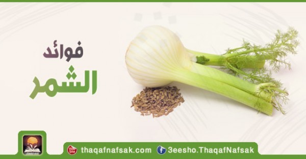 فوائد الشمر للجسم لماذا يجب عليك تناوله دائما فوائد الشمر للجسم لماذا يجب عليك تناوله دائما