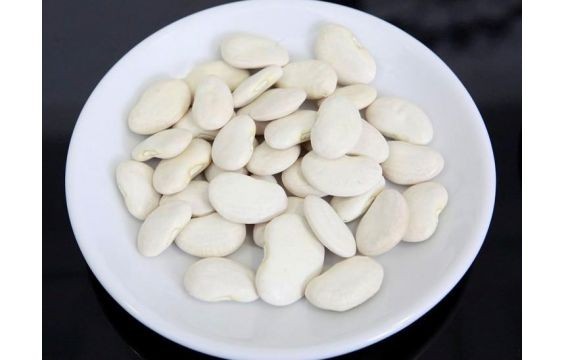فوائد الفاصوليا البيضاء للجسم فوائد الفاصوليا البيضاء للجسم