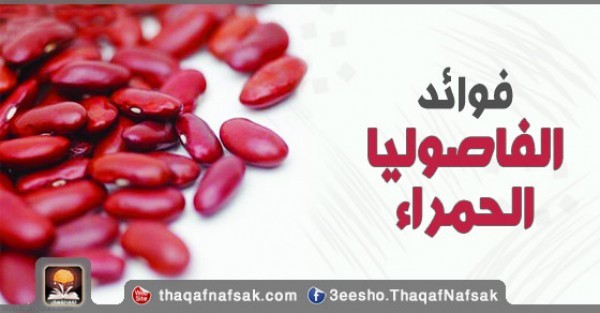 فوائد الفاصوليا الحمراء للجسم فوائد الفاصوليا الحمراء للجسم