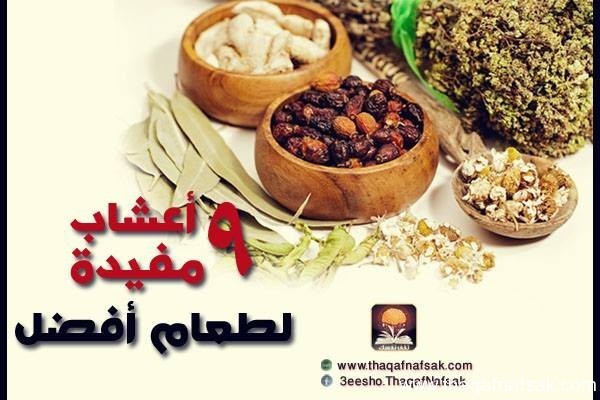 9 اعشاب مفيدة للطعام 9 اعشاب مفيدة للطعام