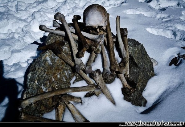 الهياكل العظمية فى الهند حقيقة أغرب من الخيال