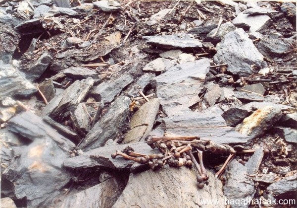 الهياكل العظمية فى الهند حقيقة أغرب من الخيال