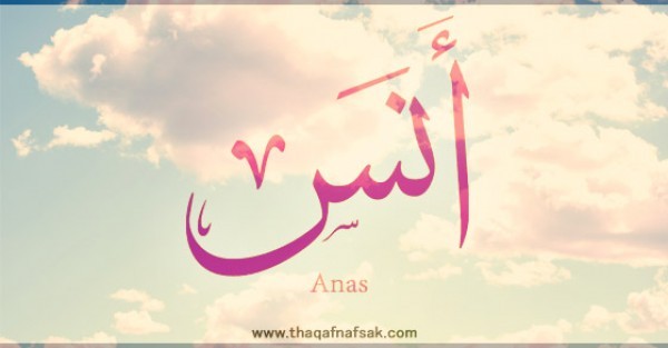 معنى اسم ” أنس” وصفات حامل الاسم معنى اسم ” أنس” وصفات حامل الاسم