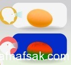 كيف ترى الحيوانات العالم؟ أسرار من عالم أخر كيف ترى الحيوانات العالم؟ أسرار من عالم أخر