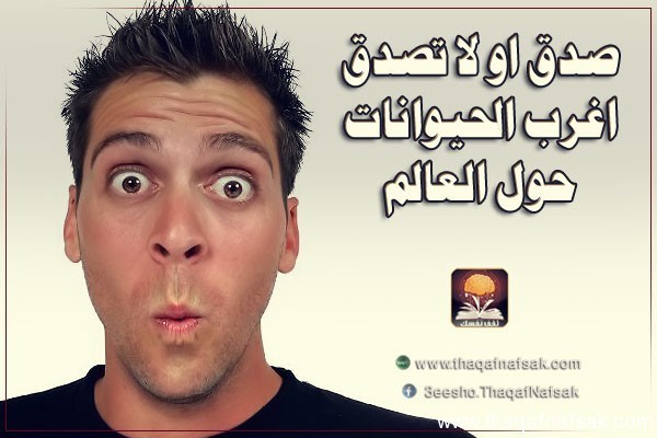 حقائق عن الحيوانات 10 حقائق مدهشة لم تسمع بها من قبل حقائق عن الحيوانات 10 حقائق مدهشة لم تسمع بها من قبل