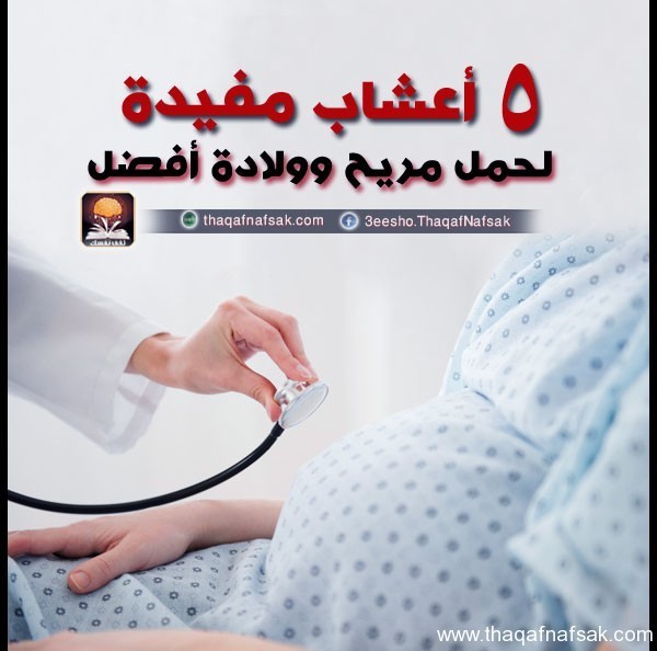 5 أعشاب مفيدة لحمل مريح وولادة أفضل 5 أعشاب مفيدة لحمل مريح وولادة أفضل