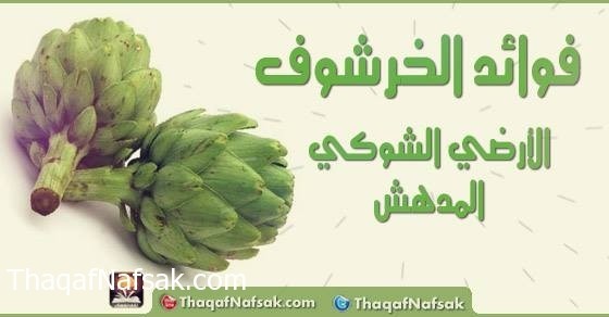 فوائد الخرشوف فوائد الخرشوف