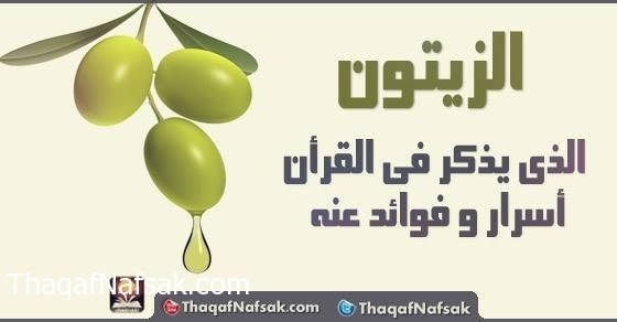 فوائد الزيتون فوائد الزيتون