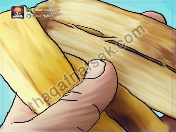 كيف تخفف من آثار لدغ البعوض وتحمي نفسك منه كيف تخفف من آثار لدغ البعوض وتحمي نفسك منه
