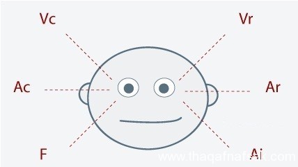 كيف تكتشف الكذب باستخدام لغة الجسد كيف تكتشف الكذب باستخدام لغة الجسد