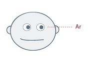 كيف تكتشف الكذب باستخدام لغة الجسد كيف تكتشف الكذب باستخدام لغة الجسد