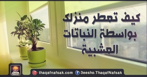 كيف تعطر منزلك بواسطة النباتات العشبية كيف تعطر منزلك بواسطة النباتات العشبية