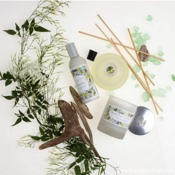كيف تعطر منزلك بواسطة النباتات العشبية كيف تعطر منزلك بواسطة النباتات العشبية