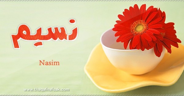 معنى اسم نسيم وصفات حامل الاسم معنى اسم نسيم وصفات حامل الاسم