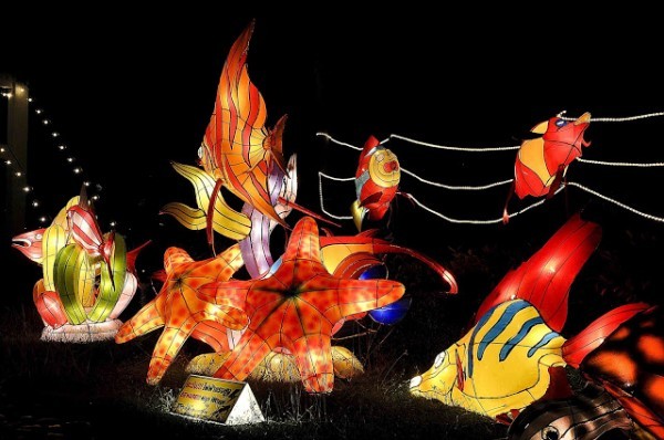 أجمل مهرجانات العالم ’’مهرجان المصابيح في تايلند ‘‘ سيذكرك بفيلم ديزني الشهير Tangled