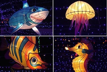 أجمل مهرجانات العالم ’’مهرجان المصابيح في تايلند ‘‘ سيذكرك بفيلم ديزني الشهير Tangled