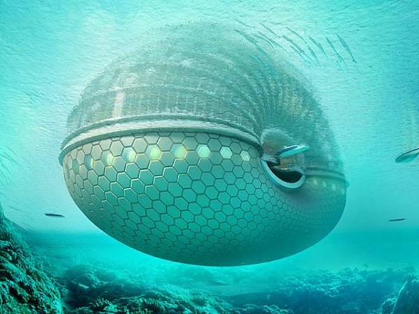 الفندق التابوتي أو الصدفي في الصين مثال على التصميم المبهر والهندسة الرائعة الفندق التابوتي أو الصدفي في الصين مثال على التصميم المبهر والهندسة الرائعة