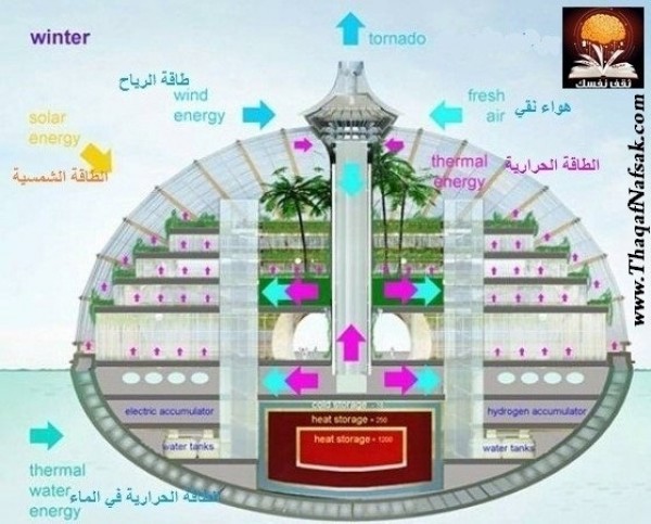 الفندق التابوتي أو الصدفي في الصين مثال على التصميم المبهر والهندسة الرائعة الفندق التابوتي أو الصدفي في الصين مثال على التصميم المبهر والهندسة الرائعة