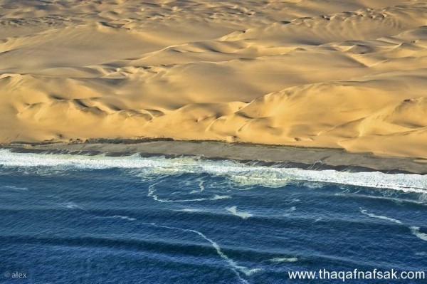 جمال الطبيعة في التقاء صحراء ناميب بسواحل المحيط الأطلسي جمال الطبيعة في التقاء صحراء ناميب بسواحل المحيط الأطلسي