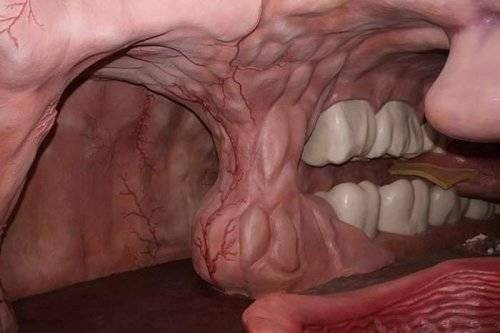متحف لتفاصيل جسم الإنسان في هولندا – رحلة شبه حقيقة داخل جسمك لمعرفة أسراره متحف لتفاصيل جسم الإنسان في هولندا – رحلة شبه حقيقة داخل جسمك لمعرفة أسراره