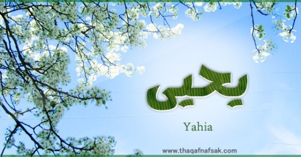 معنى اسم يحيى وصفات حامل الاسم معنى اسم يحيى وصفات حامل الاسم