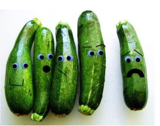 اهم ما يجب ان تعرفه عن فوائد الكوسا لمرضى السكري