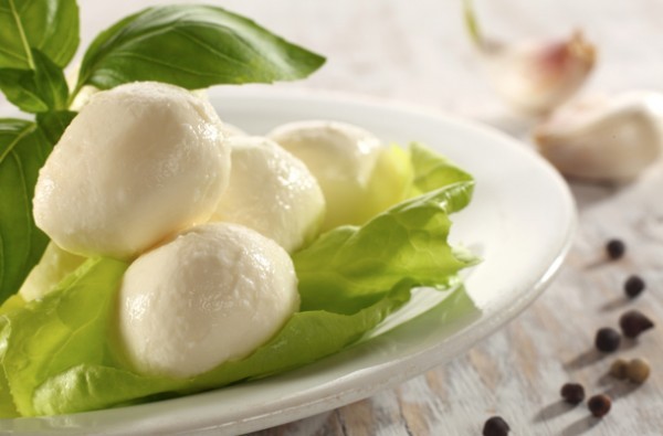 طريقة عمل الجبنه البيضاء في البيت لتستمتع بأحلى جبنة بيضاء