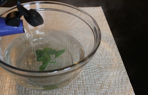 قناع البخار المنزلي للوجه بخلاصة النعناع والشاي الأخضر لحماية البشرة وتقشيرها