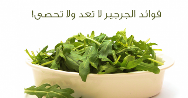 ماهي فوائد الجرجير أهم فوائد الجرجير الصحية وكيف تستفيد منه ماهي فوائد الجرجير أهم فوائد الجرجير الصحية وكيف تستفيد منه