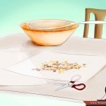 بالصور خطوة بخطوة طريقة زراعة بذور الطماطم وكيف يمكنك القيام بزراعتها