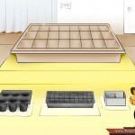 بالصور خطوة بخطوة طريقة زراعة بذور الطماطم وكيف يمكنك القيام بزراعتها