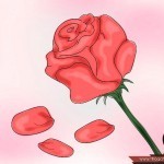 بالخطوات طريقة عمل مزيل عرق طبيعي بالصور بخلاصة ماء الورد