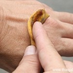 بالصور كيف تستفيد من قشر الموز ١٢ استفادة خيالية