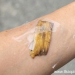 بالصور كيف تستفيد من قشر الموز ١٢ استفادة خيالية