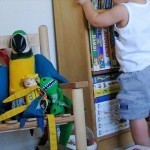 كيف تساعد طفلك على المشي ؟