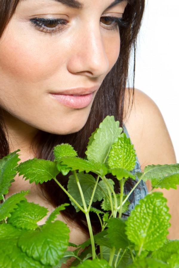 ماهي فوائد استنشاق النعناع ؟ أسباب تجعلك تستنشق رائحة النعناع كل يوم