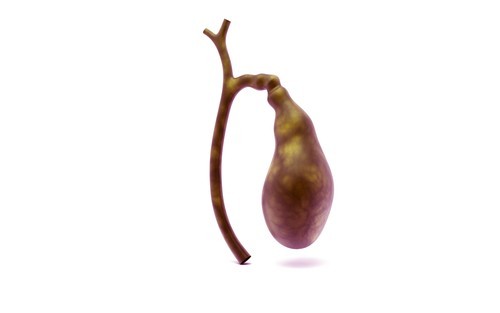 موسوعة شاملة عن حصوات المرارة اسبابها وعلاجها و وصفات منزلية للتخلص منها