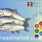 بالصور اطعمة مفيدة للذاكرة تحميك من الزهايمر و تزيد كفاءة دماغك و قوة عقلك