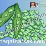 بالصور اطعمة مفيدة للذاكرة تحميك من الزهايمر و تزيد كفاءة دماغك و قوة عقلك