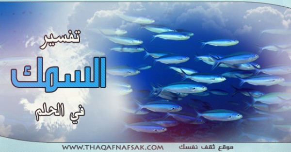 أنا أري سمك في الحلم ! فما هو تفسير السمك في الحلم أنا أري سمك في الحلم ! فما هو تفسير السمك في الحلم