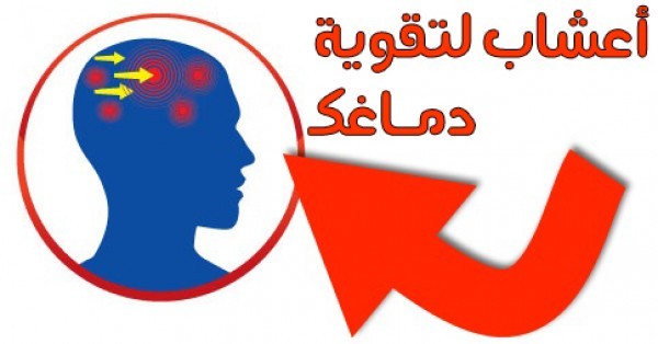 مجموعة توابل و اعشاب لزيادة الذكاء و تحفيز قدرة الدماغ